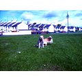 PICT0181.jpg