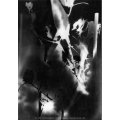Untitled-34.jpg